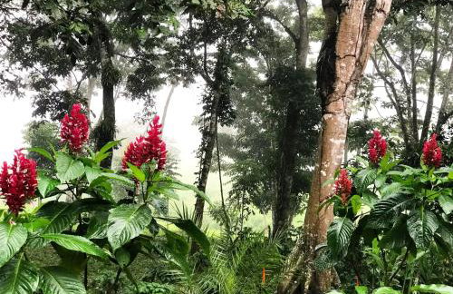 Chalé Suíço - Chalés Belo Monte - Sítio Belo Monte - Foto 42