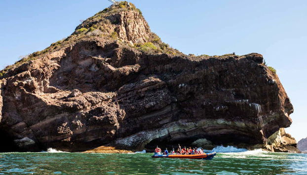 Bay of Mazatlán Speedboat Tour + Whale Museum Tickets - Foto 4