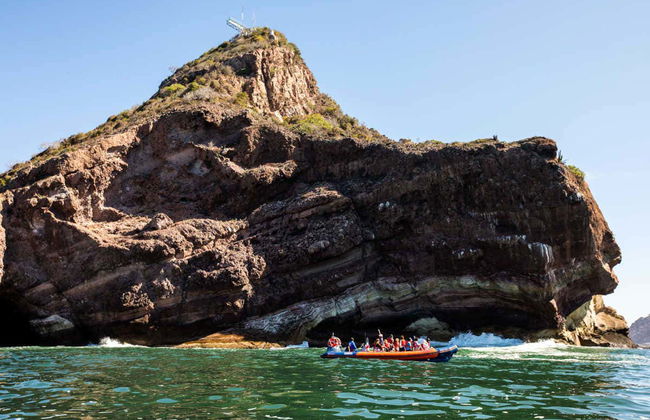 Bay of Mazatlán Speedboat Tour + Whale Museum Tickets - Foto 4