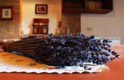 Agriturismo La Casa della Lavanda - Il Casale - Foto 45