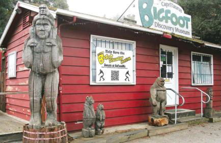 Evergreen Escape - Foto 46