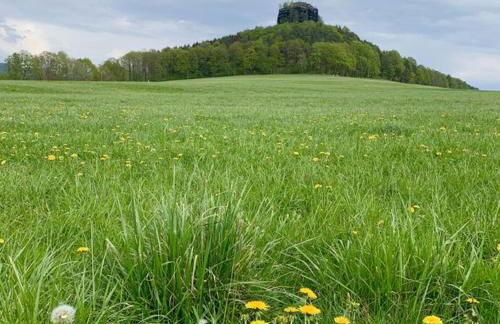Ferienheim Kuckuckswinkel - Familiensuite - Foto 16