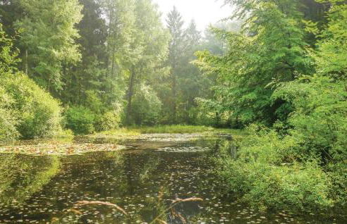 Nice Apartment In Schieder-Schwalenberg - Foto 24