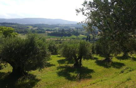 Montevenere 83 - Foto 18