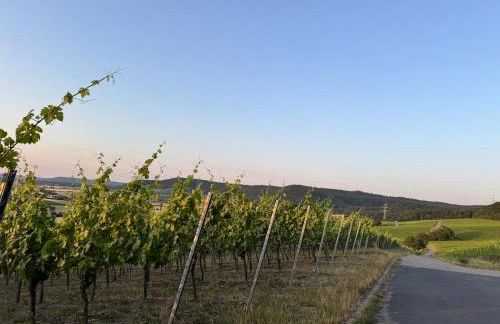 Panorama 180 - Foto 69