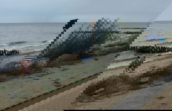 Domki Letniskowe Amelia - Foto 18