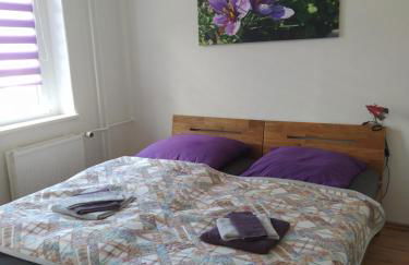 Ferienwohnungen am Safrangarten - Foto 23