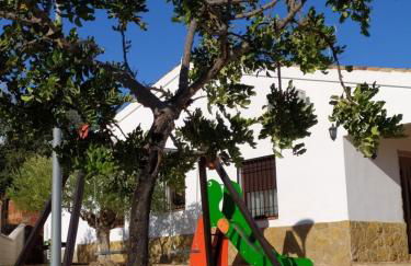 La sombra del lagarto - Foto 12