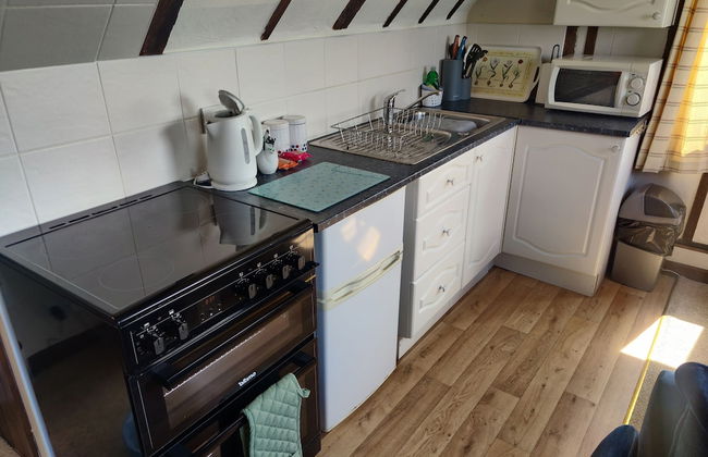 Birds Farm - Foto 21