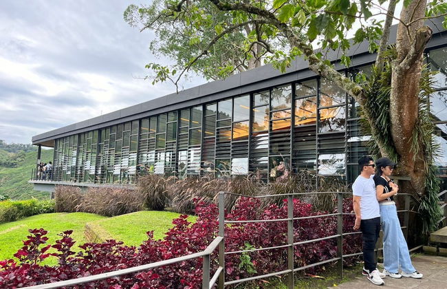 The Retreat Hotel at Cameron highlands - Photo 59