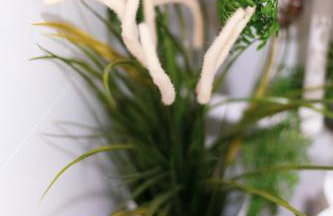 Flexible SelfCheckIns 70 / Arena / Garage / Bedroom/ New - Foto 22