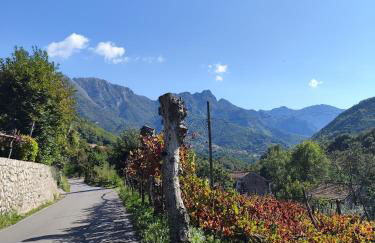 Il Vigneto - Foto 24