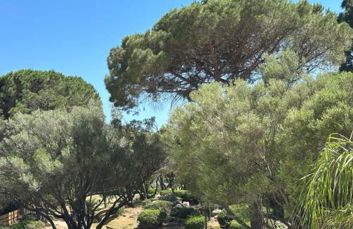 Cugnana Verde Vacanze - Foto 14