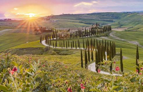 Agriturismo Baccoleno - Foto 14