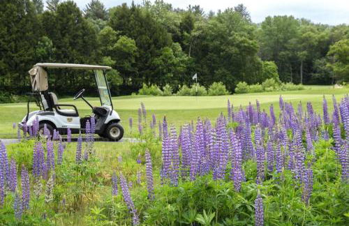 Après Ski Haven - Foto 17