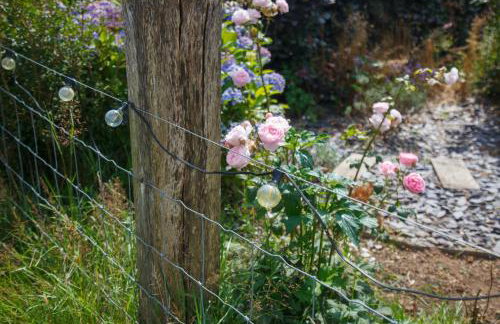 Luxury Glamping Cabin with Outdoor Bath on Cornish Meadow - Photo 46