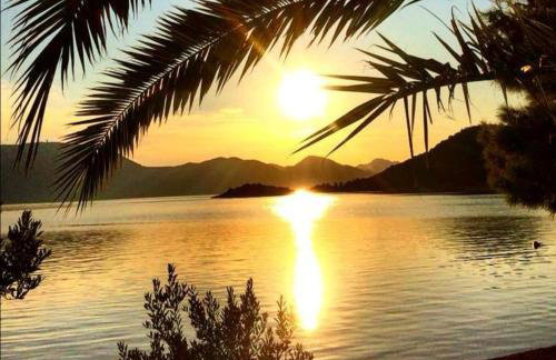 Apartman OZANA - Photo 41