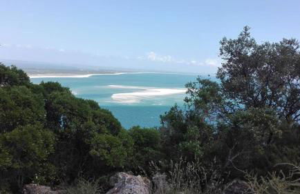 Moradia da Bananeira - Foto 63