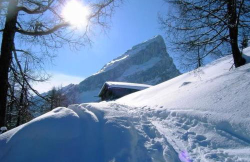 Apartment Wohnung in Unterschönau mit Grill by Interhome - Foto 7