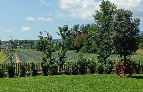 L'Antico Fienile - Foto 34