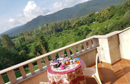 House Angeli - Foto 2