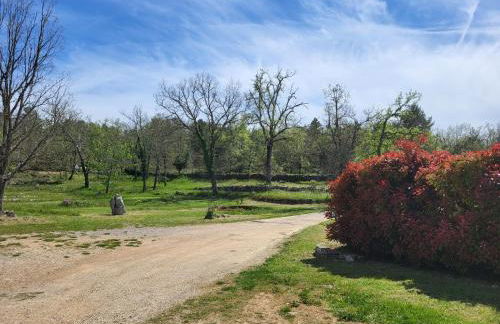 Maison au calme absolue - Foto 72