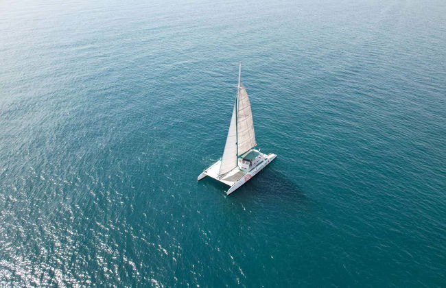 Balade en catamaran avec barbecue - Photo 8