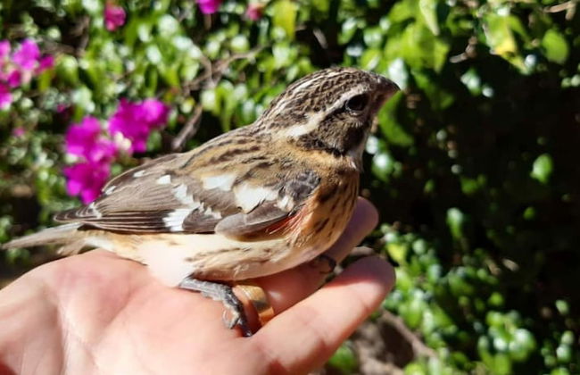 Casa Buen Aventura, Panajachel, Solola, Guatemala - Casa de Campo Familiar - Foto 12