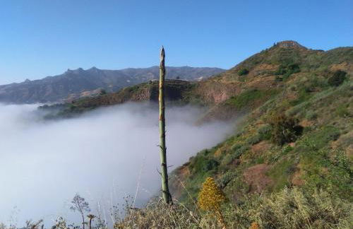 Mar de flores - Foto 24