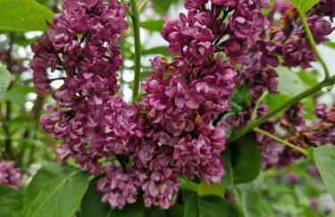 Ferienwohnung Jäger - Foto 11