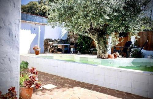 Estrela do Corval - Foto 32