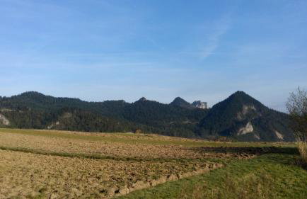 Pokoje u Pitera - Foto 10