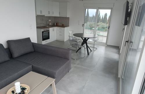 Blue & Green - Foto 23