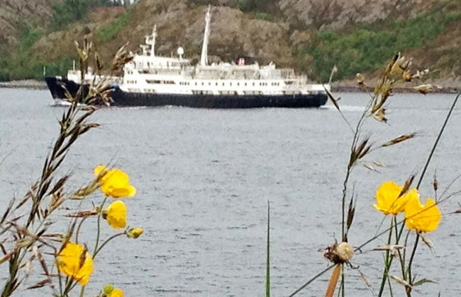 Holiday Home in Rørvik - Photo 11