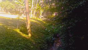 Recanto da Floresta - Foto 2