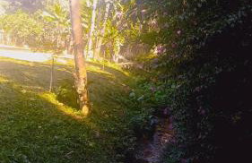 Recanto da Floresta - Photo 2