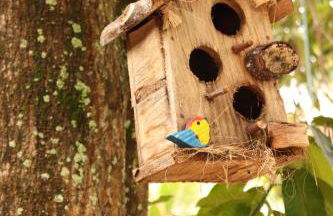 Casa Recanto das Mangueiras Japaratinga - Alagoas - Foto 17