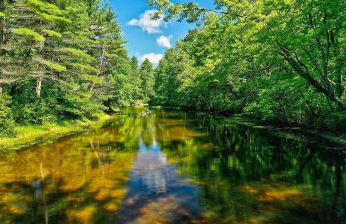 CROOKED RIVER COTTAGE LIMIT 5 cottage - Foto 7