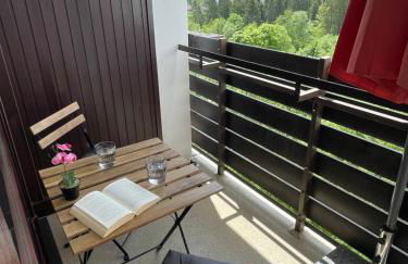 Ferienwohnung in Freudenstadt-Kniebis III - Foto 4