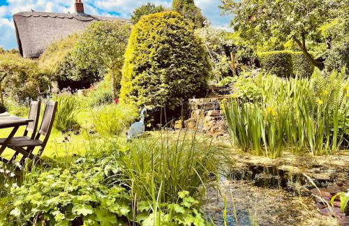 Tawny Owl Barn - Foto 14