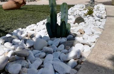 La maiolica - Foto 56