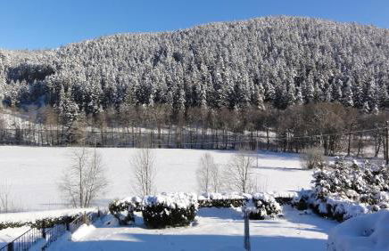 FeWo Obstfelderschmiede - Foto 41