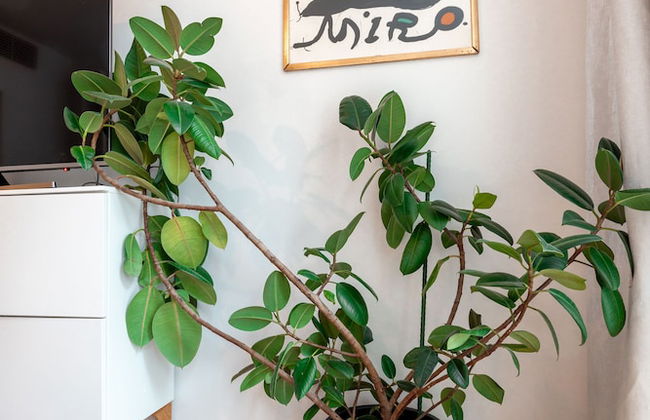 2ndhomes Gorgeous & Modern 2BR Apartment - Foto 4