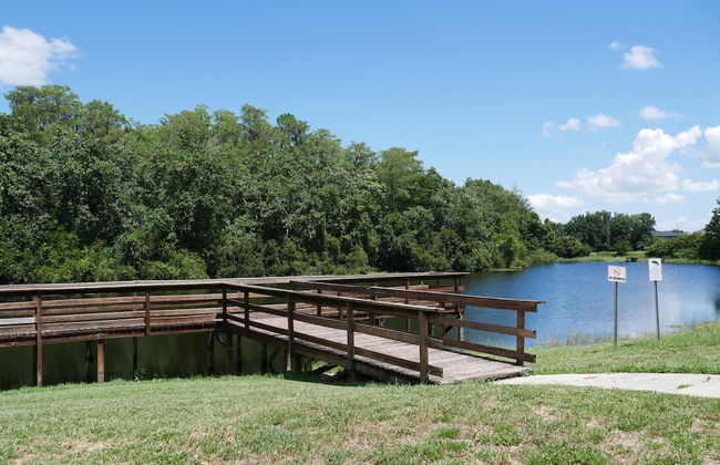 Dreamland Disney - Foto 29