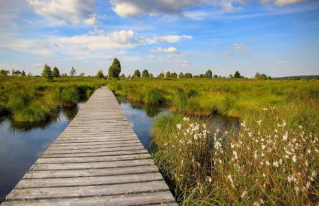 Ferienwohnung am Grölisbach - Eifel - Foto 25