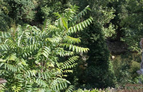 Il Nido del Picchio - Foto 32