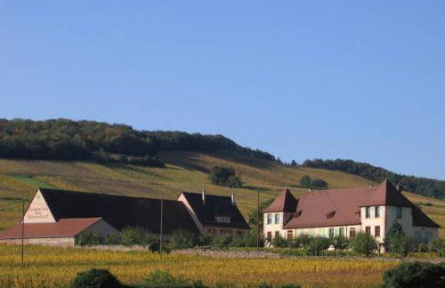 Domaine du Bouxhof - Foto 6
