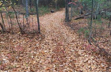 Zen-Designed Guest Suite with PRIVATE 2-mile Trail Loop - Foto 32