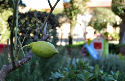 Villa Salvini - Foto 6