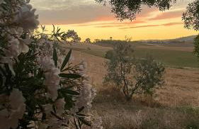 Agriturismo La Locandiera - Foto 47